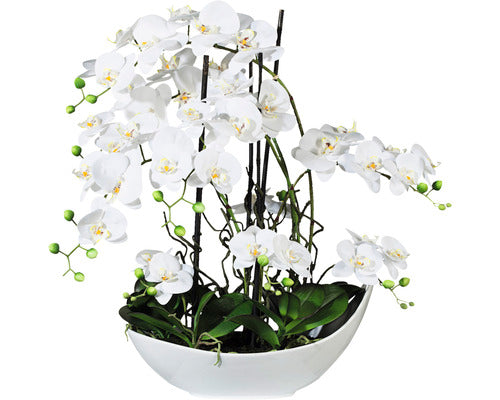 Aranjament Artificial Orhidee Phalaenopsis In Vas H 68 Cm Alb