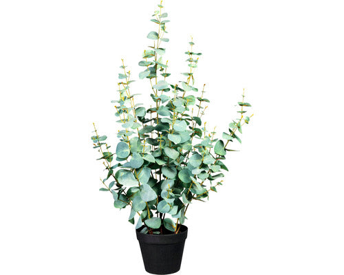 Planta Artificiala Eucalipt In Ghiveci H 80 Cm Verde