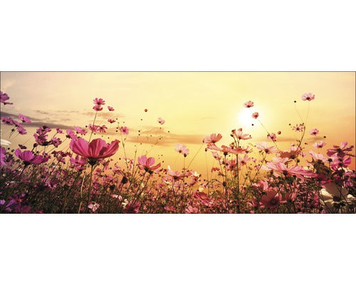 Tablou Sticla Flowerfield Iii 30x80 Cm