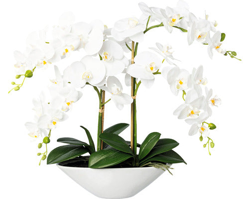 Planta Artificiala Orhidee Fluture Phalaenopsis In Ghiveci H 53 Cm Alb