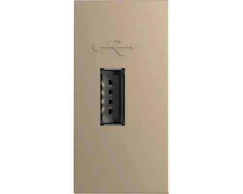 Priza Usb Simpla Livolo Tip A, 1 Modul, Auriu