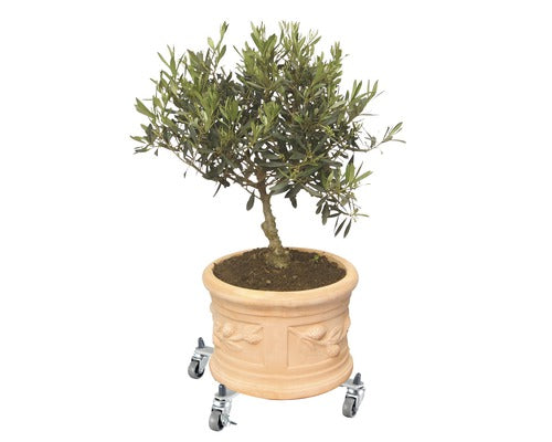 Suport Rulant Plante Wagner Suncity Basic, Otel, 31x31/47x47 Cm, Capacitate Portanta 100 Kg