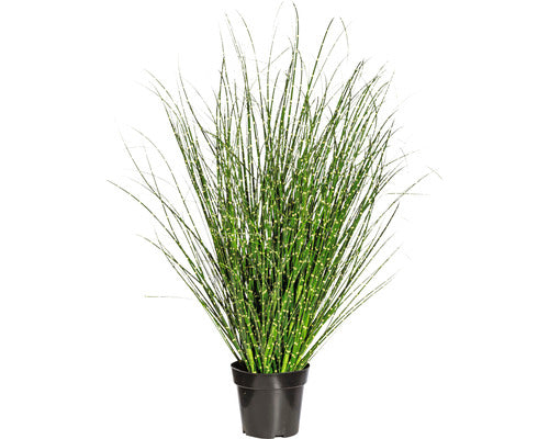 Planta Artificiala Iarba Miscanthus Zebrinus In Ghiveci H 110 Cm Verde