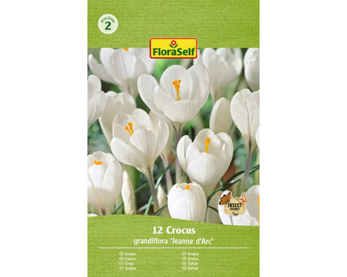 Bulbi De Flori Floraself Branduse Jean D'arc 7/8 12 Buc