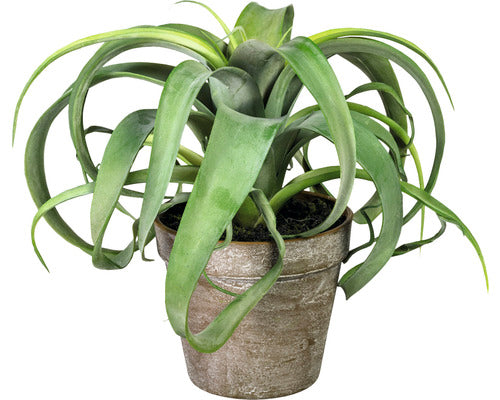 Planta Artificiala Tillandsia Xerographica In Ghiveci H 24 Cm Verde