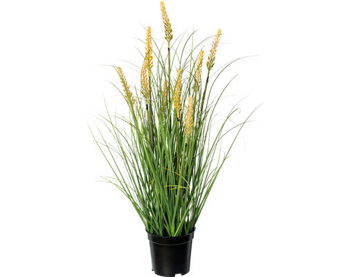 Planta Artificiala Iarba Decorativa Pennisetum In Ghiveci H 59 Cm Verde