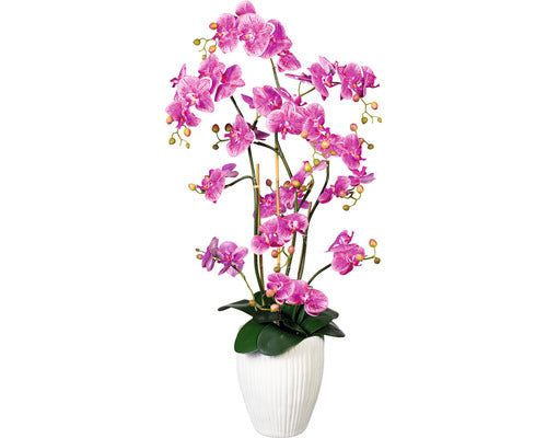 Planta Artificiala Orhidee Fluture Phalaenopsis In Vas H 110 Cm Lila