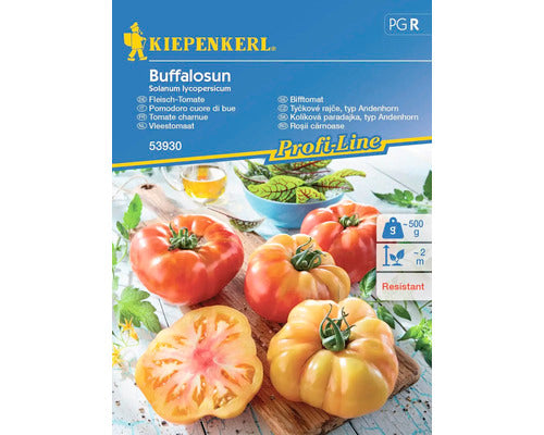 Seminte Legume Kiepenkerl Tomate Carnoase Buffalosun F1