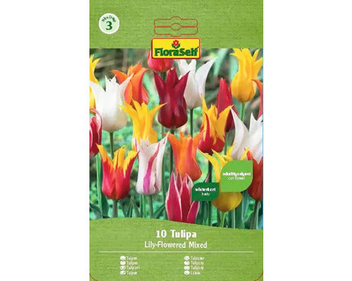 Bulbi De Lalele Floraself Tip Crin Mix 11/12 10 Buc