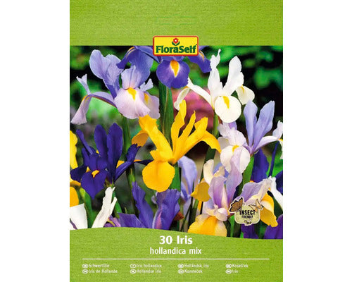 Bulbi De Flori Floraself Irisi Mix 7/8 30 Buc