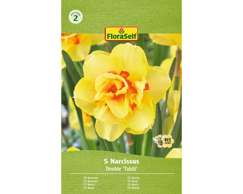 Bulbi Narcise Floraself Tahiti 12/14 5 Buc