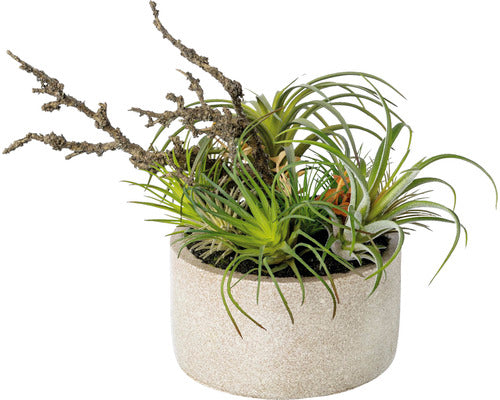 Planta Artificiala Tillandsia Mix H 26 Cm Verde