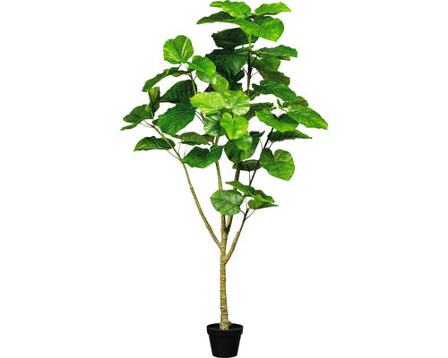 Planta Artificiala Ficus Umbellata In Ghiveci H 175 Cm Verde