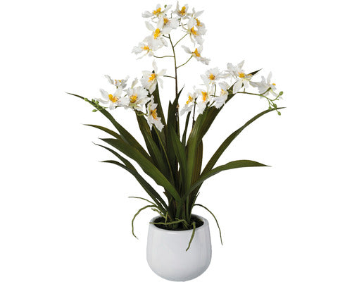 Planta Artificiala Orhidee Gambia In Vas Ceramic H 50 Cm Alb