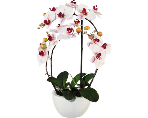 Planta Artificiala Orhidee Fluture Phalaenopsis In Vas Ceramic H 52 Cm Roz