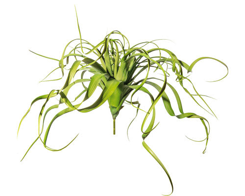 Planta Artificiala Tillandsia Suspendata In Ghiveci H 70 Cm Verde