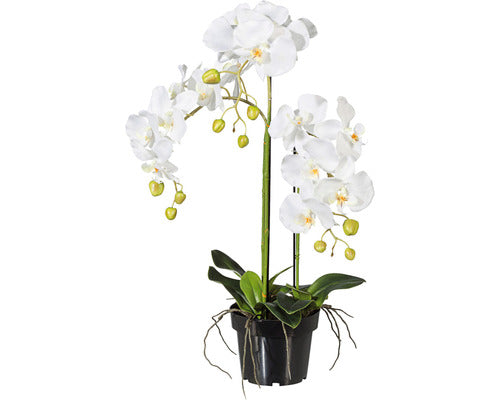 Planta Artificiala Orhidee Fluture Phalaenopsis In Ghiveci H 62 Cm Alb