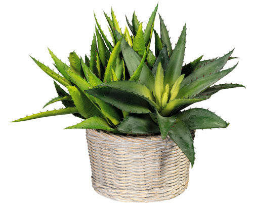 Planta Artificiala Limba Soacrei Sanseveria In Ghiveci H 70 Cm Verde