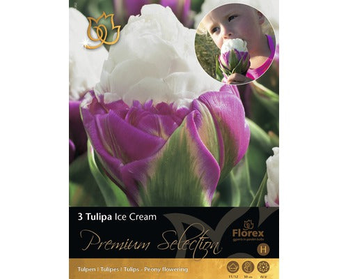 Bulbi De Lalele Ice Cream Roz 5 Buc