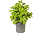 Planta Artificiala Tufa Busuioc In Ghiveci Ciment H 30 Cm Verde