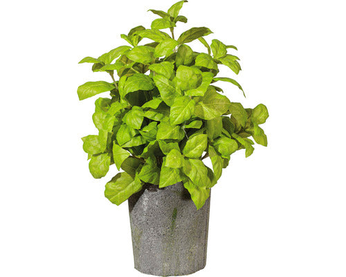 Planta Artificiala Tufa Busuioc In Ghiveci Ciment H 30 Cm Verde