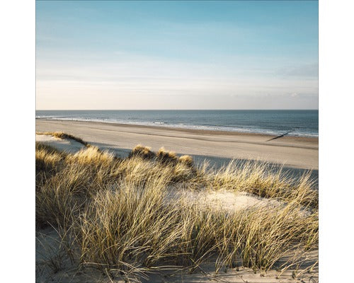 Tablou Sticla Lost Dunes Ii 50x50 Cm