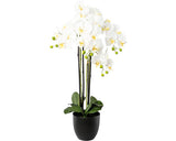 Planta Artificiala Orhidee Fluture Phalaenopsis In Vas Ceramic H 83 Cm Alb