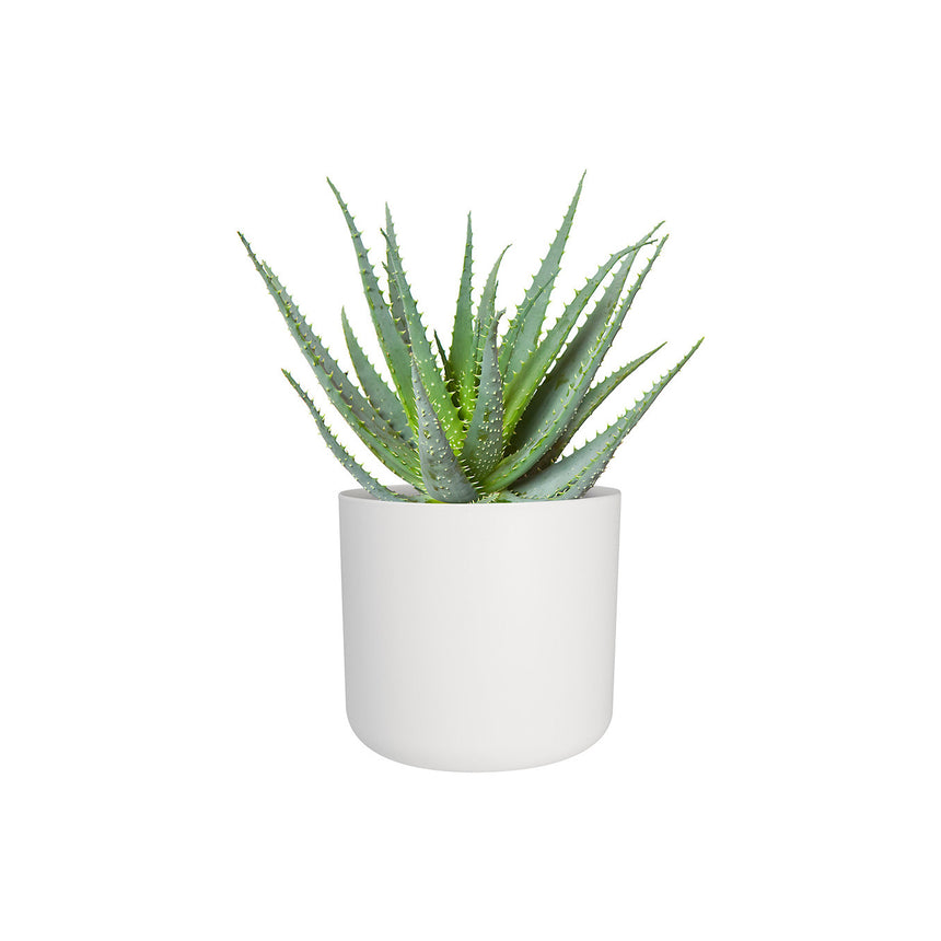 Masca de ghiveci b.for Soft Round cu diametrul de 16 cm pentru plante de interior alb