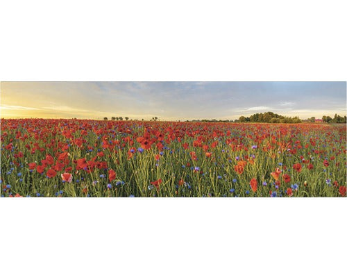 Tablou Canvas Camp De Maci 50x150 Cm