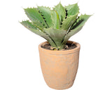 Planta Artificiala Echeveria Xl In Ghiveci H 25 Cm Verde