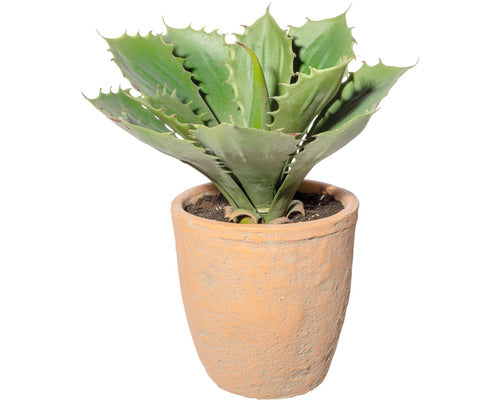 Planta Artificiala Echeveria Xl In Ghiveci H 25 Cm Verde