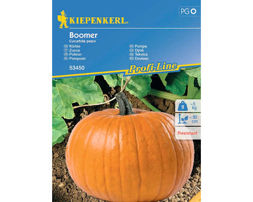 Seminte Legume Kiepenkerl Dovleac Boomer F1