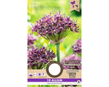Bulbi De Flori Allium Atropurpereum 7/8 10 Buc