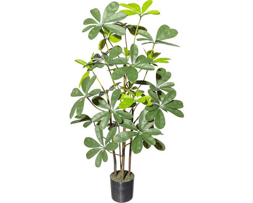 Pom Artificial Arborele Umbrela Schefflera In Ghiveci H 90 Cm Verde