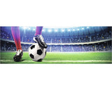 Tablou Canvas Stadion De Fotbal 50x150 Cm