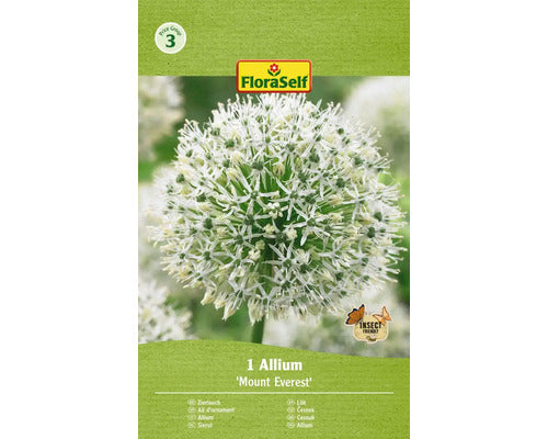 Bulb De Flori Floraself Allium Mont Everest 18/20 1 Buc