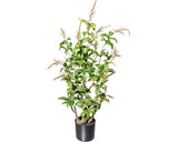 Planta Artificiala Pieris Japonica In Ghiveci H 85 Cm Verde