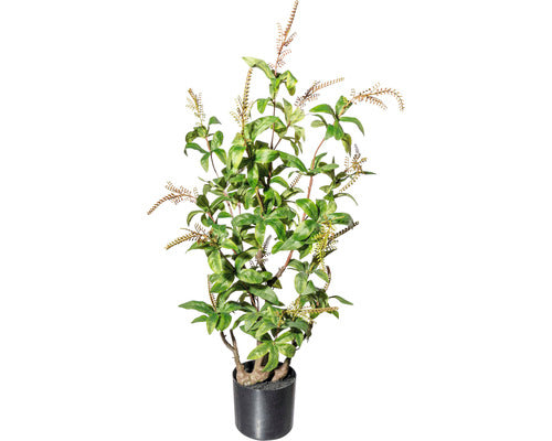 Planta Artificiala Pieris Japonica In Ghiveci H 85 Cm Verde