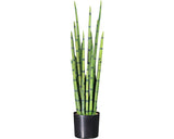 Planta Artificiala Limba Soacrei Sanseveria Cilindrica In Ghiveci H 100 Cm Verde