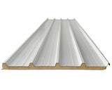 Panou Sandwich Termoizolant Pentru Acoperis Precit 3000x1000x40 Mm Alb