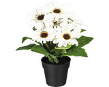 Planta Artificiala Gerbera In Ghiveci H 27 Cm Alb