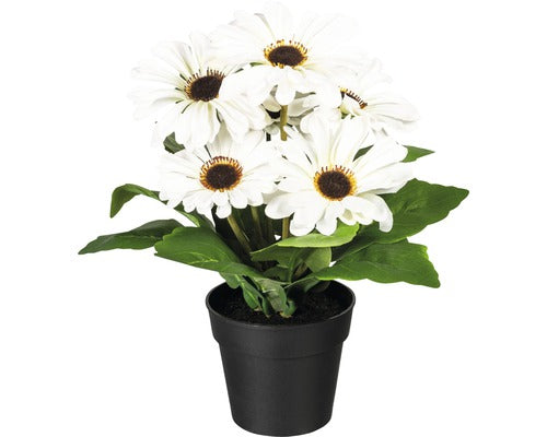 Planta Artificiala Gerbera In Ghiveci H 27 Cm Alb