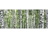 Tablou Sticla Tree Trunk Collection 30x80 Cm