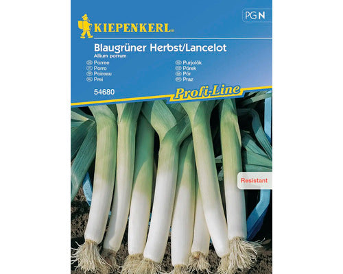Seminte Legume Kiepenkerl Praz Toamna Lancelot
