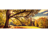 Tablou Sticla Sunshine In The Park 30x80 Cm