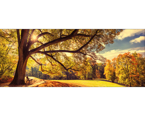 Tablou Sticla Sunshine In The Park 30x80 Cm