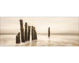 Tablou Sticla Alone 30x80 Cm