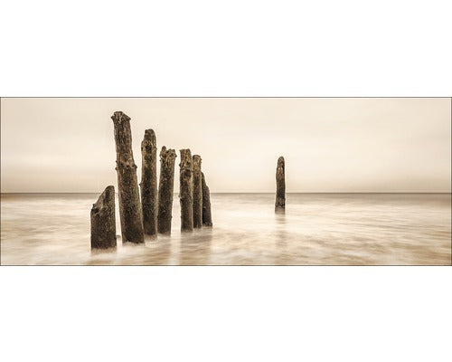 Tablou Sticla Alone 30x80 Cm