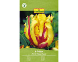 Bulbi De Lalele Floraself Texas Flame 11/12 8 Buc