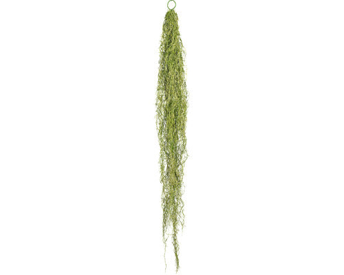 Planta Artificiala Tillandsia Suspendata H 140 Cm Verde